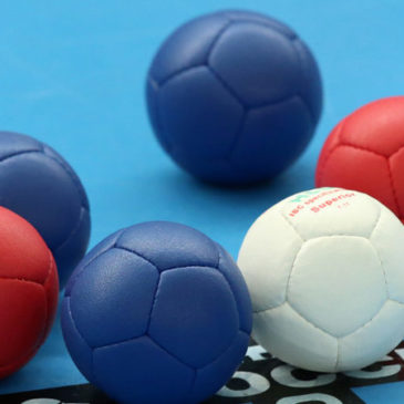 Formation arbitre régional boccia