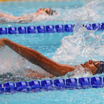 CNC 3 Natation