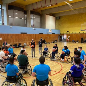 Formation « animateur basket »