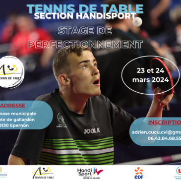 STAGE PERFECTIONNEMENT TENNIS DE TABLE